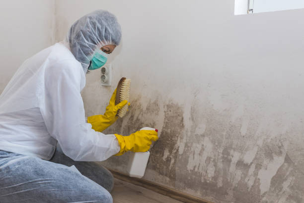 Best Crawl Space Mold Remediation  in Grantsburg, WI